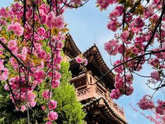 -西安青龙寺遗址景区