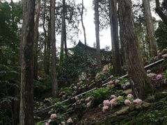 -寂照庵