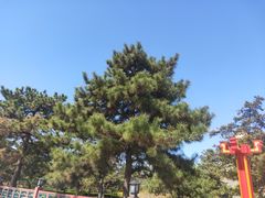 -大明幻境第一城