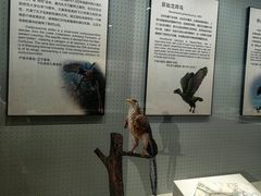 -辽宁古生物博物馆