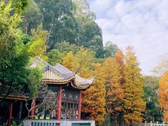 -顺峰山公园