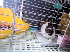 -UltraForce超源健身私教工作室(长楹天街精品店)