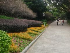 -金鸡山公园