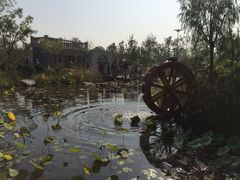 -武清南湖绿博园