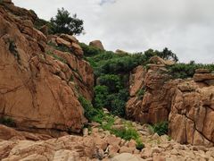 -那琴半岛地质海洋公园