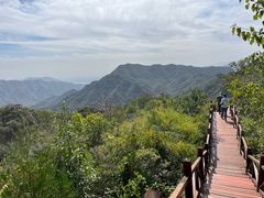 -大岭沟猕猴桃谷风景区