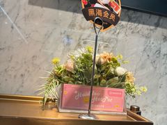 -海底捞火锅(步步高新天地店)
