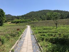 -浙江农林大学(东湖校区)