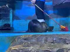 -多彩贵州城极地海洋世界