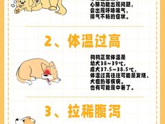 -佩兹宠物医院肿瘤专科·眼科·牙科(黄浦店)