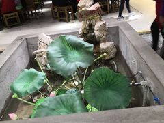 -灶东家民间菜(回兴店)