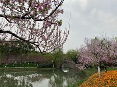 -圩墩遗址公园