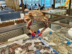 -半岛听涛蒸汽海鲜自助(K11店)