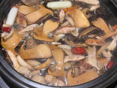-滇野云南野生菌餐厅(陕西南路店)