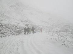 -九峰山