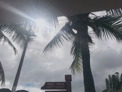 -亚龙湾国际玫瑰谷