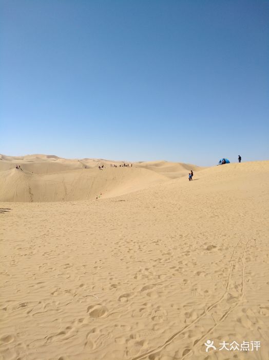 亿利库布其七星湖沙漠生态旅游区图片