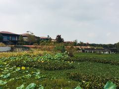 -阳澄湖半岛旅游度假区