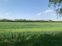 -汉长安城未央宫国家考古遗址公园