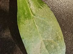 -南门四季铜锅涮肉(大屯·北苑店)