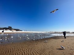 -老虎石海上公园