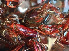 -晓伟海鲜家常菜