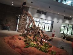 -自贡恐龙博物馆