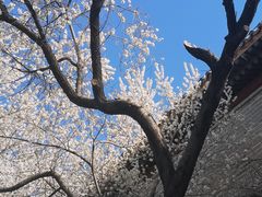 -雍和宫(地铁站)