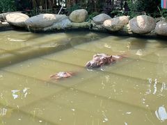 -宁波野生动物园