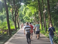 -晓港公园