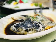 清蒸四海胖头鱼-雅和生态渔庄·宜城锅巴饭(龙灵山公园店)
