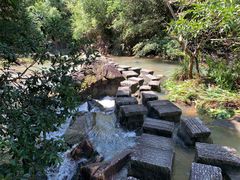 -广州白江湖森林公园