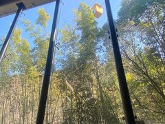 -徐州汉画像石艺术馆