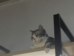 -小时光咖啡馆(开森度假森林店)