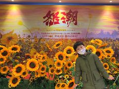 -英皇电影城(英皇集团中心IMAX店)