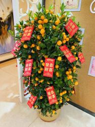 -熹月国际月子会所(天河店)