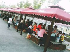 -春花秋色城市公园