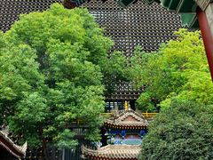 -罔极寺