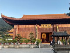 -深圳仙湖植物园