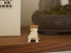 -Onirii Coffee(长乐路店)