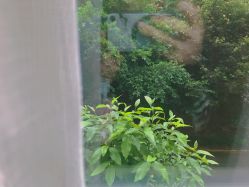 点击看大图 -星摇篮月子中心(市妇幼店)
