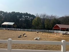 -白马涧龙池景区
