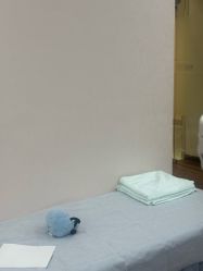 -上海首尔丽格医疗美容医院