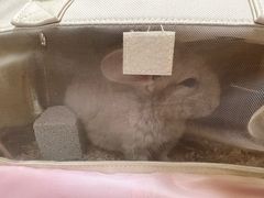 -龙猫仔乐园(惠福东路店)