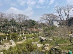 -青枫公园