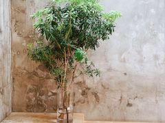 -VOYAGE COFFEE(北锣鼓巷店)