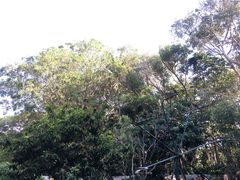 -可伦宾野生动物保护区