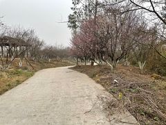 -秀丽东方