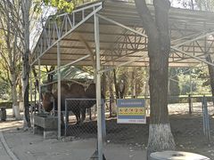 -长白岛森林公园