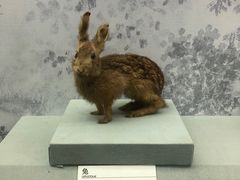 -杭州胡庆余堂第二中医门诊部